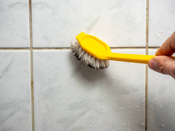 Best Mold Removal Specialists  in Mastic Beach, NY